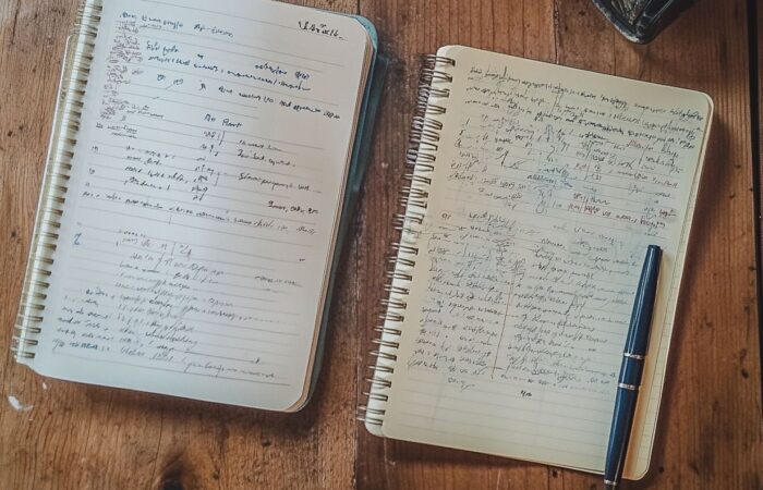 Difference Between Journal And Diary